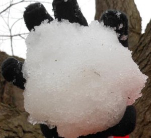 Snowball-09