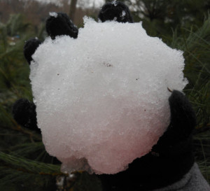 snowball-10