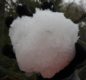 snowball-11